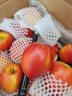京鲜生 油桃 鲜桃子 2.5kg装 单果60g以上   生鲜时令水果 实拍图