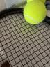 登路普 网球ATPTOUR铁罐筒装登路普澳网AO比赛运动球硬地比赛球手感舒适 ATP TOUR (胶桶）四粒装 六桶 实拍图