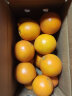 玖原农珍 赣南脐橙现摘新鲜榨汁水果橙子 冰糖甜橙非褚健橙 脐橙5斤普箱中小果（60-70mm） 实拍图