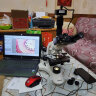 凤凰PH50-3A43L-A三目生物显微镜专业教学实验高倍高清养生畜牧 晒单实拍图