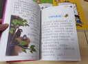 快乐读书吧二年级上课外书必读5册小鲤鱼跳龙门注音版一只想飞的猫小狗小房子孤独小螃蟹歪脑袋木头桩上册人教版语文阅读书籍 实拍图