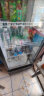 扬子（YANGZI）展示柜冷藏大容量饮料啤酒保鲜柜立式冰柜商用超市玻璃门上下机直风冷 单门下机丨工程标准款【直冷】 扬子旗舰 实拍图
