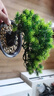 匠心绽放奇松迎客松长寿松仿真松树盆景绿植客厅盆景办公茶室摆件20304 实拍图