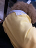 憨憨宠 狗狗衣服猫衣服宠物泰迪衣服冬季猫咪衣服小型犬衣服幼犬秋冬服 黄色 小熊小围巾卫衣 XL号建议体重11-15斤 实拍图