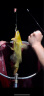 GW光威鱼竿剑手鲤5.4米强韧28调综合大物竿超轻超硬台钓竿高碳素 晒单实拍图