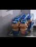 养乐多活菌型乳酸菌乳饮品100ml*5瓶青提味低温乳酸菌饮料 实拍图