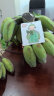 红美人【禁止蕉绿】水培香蕉水果绿植办公室拒绝焦虑苹果蕉 送花瓶+卡片 一串2-3把苹果蕉（赠花瓶） 7斤 起 晒单实拍图