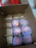 洛川苹果 青怡陕西红富士净重1.75kg 单果135g起 新鲜水果礼盒 实拍图