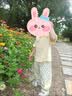 G.duck童装女童夏装套装儿童服装夏季2026新款女宝宝夏天衣服小童休闲装 黄色 100 尺码2~3岁【 90-100cm】cm 实拍图