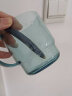 NITORI宜得利家居 家用简约透明牙刷杯子情侣刷牙杯漱口杯带手柄 蓝色 实拍图