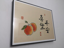 顺吉祥利 猫咪电表箱装饰画遮挡配电箱电闸盒开箱多媒体挂画开关餐厅壁画 B8017平安喜乐寓意 45*35cm(遮挡35*25)掀盖黑框 实拍图
