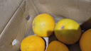 土八鲜江西橙子赣南脐橙新鲜水果赣州脐橙手剥甜橙礼盒 王者橙4.5-5斤【单果330-400g】 实拍图