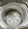 美的（Midea）波轮洗衣机全自动 6.5公斤迷你洗衣机小型 内桶免清洗 宿舍租房神器小巧省空间 以旧换新 MB65V33E 实拍图