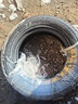 双星雪地胎/冬季胎 175/70R14 84S DW16+ 适配新捷达/现代瑞纳/飞度 实拍图