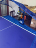 双鱼（DOUBLE FISH） 乒乓球发球机超级三代台式落地式智能初学级发球器 乒乓球训练器 E6 附集球网、乒乓球 实拍图