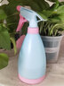 番易喷壶A1van001:浇花洒水壶手压式园艺植物喷水壶气压式雾化浇喷两 常规款500ML 1个 实拍图