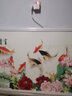 五花 石墨烯取暖器碳晶墙暖壁画家用电暖器静音电热板节能省电壁挂式电暖气片 1000W-富贵有余 实拍图