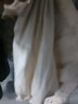 鸭鸭（YAYA）轻薄羽绒服女秋冬轻薄短款轻型保暖立领时尚休闲保暖外套 实拍图