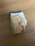 智友伴儿童内裤女童舞蹈艺考形体高胯隐形女孩芭蕾舞练功学生跳舞专用棉 实拍图