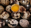 鲜窝窝 新鲜生鹌鹑蛋 鹑鸟蛋 生鲜蛋 附卤蛋料包 100枚 有卤料包 实拍图