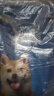迪尤克递乐狗粮10kg 生态源小型犬中大型犬贵宾金毛泰迪狗主粮 经典款成犬10kg 实拍图