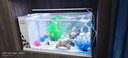 长锐侧滤鱼缸桌面办公室免换水生态水草超白水族箱 K600加热版【长63 宽27 高35】 实拍图