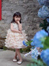 G.duck公主裙女童连衣裙夏季儿童周岁生日礼服洋气高级女宝宝蓬蓬蛋糕裙 香槟色 90 尺码1~2岁【 80-90cm】cm 实拍图
