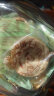 三牛（sanniu）葱香香葱味酥性饼干 可爱造型小白饼干290g*3盒 实拍图