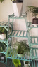 丝竹阁花架置物架阳台落地式创意客厅多肉实木多层网红花盆靠墙绿萝架子 A字豆绿12层 实拍图