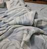 轩蓝仕（Xanlenssi）A类加厚拉绒雕花牛奶绒冬季保暖四件套 床笠磨毛绒加密型绒套件 墨花如梦-hc 床单款 1.8米床(被套200*230cm) 实拍图