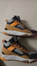 添柏岚（Timberland）官方男鞋春季徒步鞋抓地GORETEX防水户外|A44RW A44RW231/小麦色 41.5 实拍图