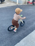 乐卡（Lecoco）儿童平衡车无脚踏镁合金宝宝学步车2-6岁幼儿滑行滑步车 C-runX1滑步车 -丝绒摩卡 实拍图
