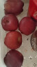王掌柜甘肃天水花牛苹果 净重4.5斤单果160g+ 生鲜水果 源头直发 晒单实拍图