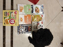 春光海南特产 椰子零食零食饼干组合糖果礼包 三亚旅游伴手礼送礼礼盒 年年好春光礼盒1048g 实拍图