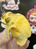 猫山王榴莲D197冷冻榴莲 特选果A+级保5房3.0-3.6斤中果 晒单实拍图