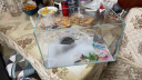 YEE鱼缸金晶超白鱼缸客厅桌面小鱼缸玻璃草缸龟缸家用小型生态金鱼缸 400*230*250【标准套餐】 晒单实拍图