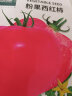 北蔬 水果西红柿种子番茄老品种大粉沙瓤菜种籽 粉果西红柿种子100粒 实拍图
