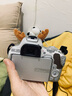 佳能（Canon） EOS 200D二代 200d2代单反相机入门单反vlog迷你单反数码照相机 200DII银色拆单机+佳能小痰盂人像镜头套装 套餐一【含64G内存卡~送豪华摄影大礼包】 实拍图