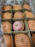 陕西延安黄河 壶口 宜川  洛川 红富士苹果 80#果12斤装 晒单实拍图