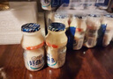好益多乳酸菌饮料酸奶益生菌益生元奶菌种儿童成人整箱100ml礼盒新日期 【经典原味】100ml*20瓶 乳酸菌 实拍图