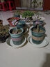 爱丽思花盆托盘花卉盆栽加厚底托接水盘花盘底座圆形花托深型塑料 8号理石色-内径19cm 实拍图