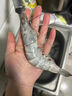 品珍鲜活 严选盐冻白虾对虾30-40规格 净重1.65kg 只只分离 海鲜水产生鲜 30/40特大号（盐冻只只分离） 实拍图