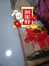 缔卡2025新年大红灯笼一对过年大门口宫灯阳台挂饰过新年户外装饰吊灯 升级款100#家和万事兴长钩-2个装 实拍图