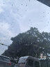 法雷奥（VALEO）SWF系列雨刮片无骨雨刷器26/19 大众迈腾  毛豆3 特斯拉MODEL 3  实拍图