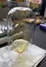 HomeFlower香薰挥发棒手工香薰棒配件扩香棒香薰瓶空瓶加湿器花露水挥发棒 咖色弯曲藤条6支装（买一送一） 实拍图