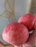 宏辉果蔬烟台特级红富士苹果水果新鲜当季脆甜大果中果超大果160-240g单果 85mm（含）-90mm(不含) 5斤 晒单实拍图