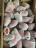 田良季云南阳光玫瑰葡萄晴王【JD-多地次日达】 青提新鲜水果送礼品物 【尝鲜】1斤装丨单果6-10g 【清甜果】超高性价比 实拍图