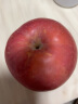 安和山陕西延安洛川红富士苹果新鲜水果脆甜应季水果时令生鲜 75-80mm带箱5斤（净重4.5斤） 实拍图