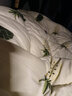 雅鹿·自由自在 抗菌纤维被子 被芯单人春秋被褥棉被4斤150x200cm 菠萝密语 实拍图