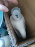 威露士清可新洗衣液松木香18.5斤（3L瓶+2.25L+2L袋x2）除菌除螨除霉味 晒单实拍图